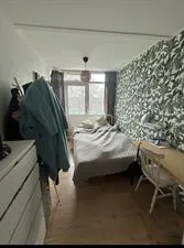 Kamer te huur: Koningsplein, Centrum-West Delft