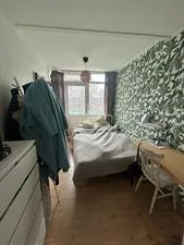 Kamer te huur: Koningsplein, Centrum-West Delft
