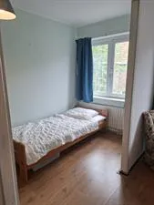 Kamer te huur: Korenbloemstraat, Kruidenbuurt Eindhoven