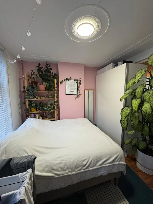 Kamer te huur: Kortekade 17A-1, Kralingen Oost Rotterdam