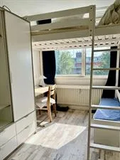 Room for rent: Laan van Parijs, Stedenbuurt-west Haarlem