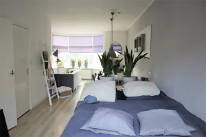 Woning te huur: Laat, Binnenstad-Oost Alkmaar