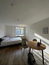 Kamer te huur: Lage Nieuwstraat, Kortenbos 'S-Gravenhage