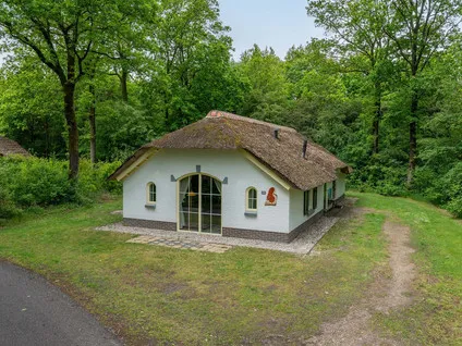 Vrijstaande woning te koop: Landuwerweg 17-410, Buurtschap Look Holten