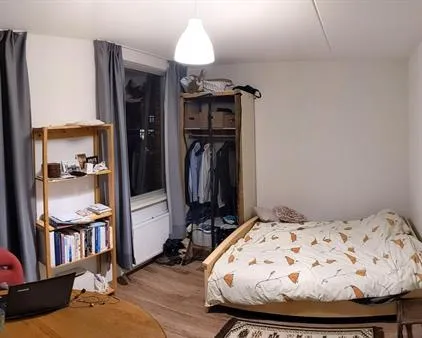 Kamer te huur: Langestraat, Hortusbuurt-Ebbingekwartier Groningen