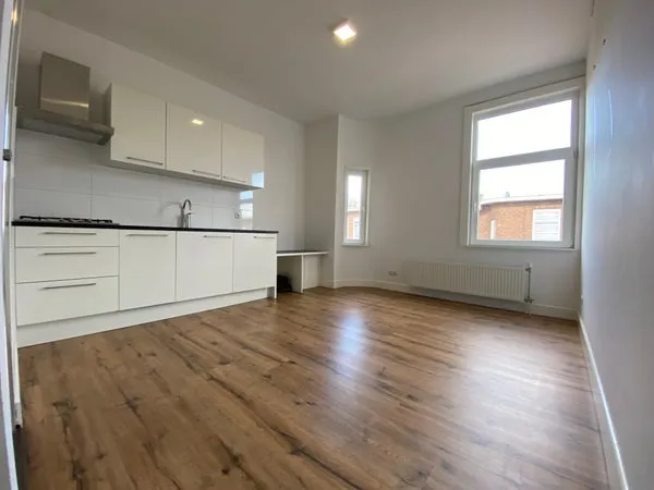 Appartement te huur: Larensestraat 111STUDIO-1, Rustenburg 'S-Gravenhage