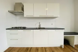 Home for rent: Larensestraat, Rustenburg 'S-Gravenhage