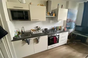 Woning te huur: Laurierstraat, Heesterbuurt 'S-Gravenhage