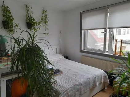 Room for rent: Leliestraat, Oud Koog Koog Aan De Zaan