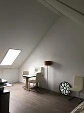 Kamer te huur: Leonard Springerlaan, Kunstschildersbuurt Haarlem