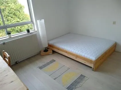 Kamer te huur: Liendenhof, L-buurt Amsterdam