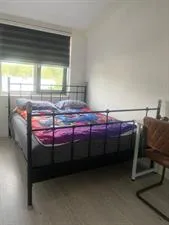 Kamer te huur: Lijsterbeslaan, Bomenwijk Delft