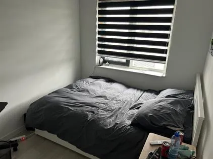Room for rent: Lijsterbeslaan, Bomenwijk Delft