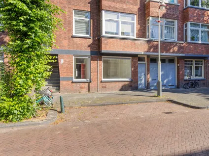 Appartement te koop: Linnaeusstraat 115, Laakkwartier-Oost 'S-Gravenhage