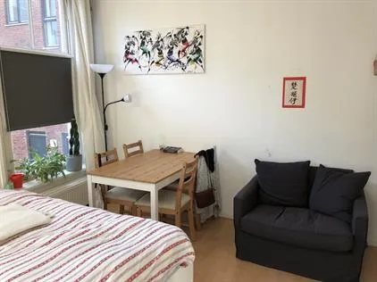 Kamer te huur: Lissabonstraat, Schildersbuurt Groningen