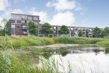 Appartement te koop: Litho 85, Drukkersbuurt Meppel