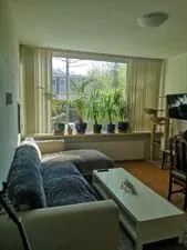 Room for rent: Loderstraat, Schiebroek Rotterdam