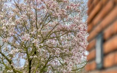 Twee-onder-één-kap te koop: Madoerastraat 1, Galgenveld Nijmegen