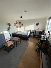 Kamer te huur: Madoerastraat, Indische buurt Groningen
