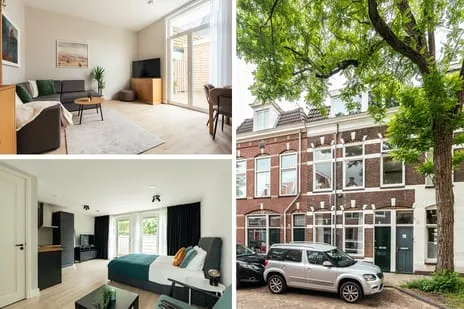 Appartement te koop: Maerten van Heemskerckstraat 48ZW, Kleverpark-zuid Haarlem