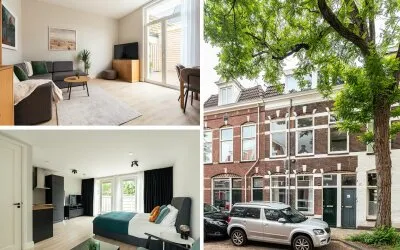 Appartement te koop: Maerten van Heemskerckstraat 48ZW, Kleverpark-zuid Haarlem