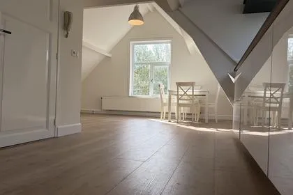 Appartement te koop: Malakkastraat 120A, Archipelbuurt 'S-Gravenhage
