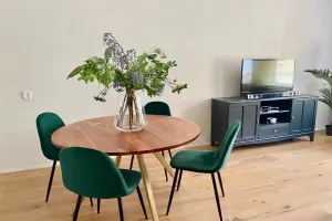 Woning te huur: Mallemolen, Willemspark 'S-Gravenhage