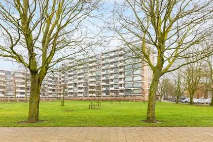 Apartment for rent: Martin Luther Kinglaan 132, Ruimzicht West Diemen