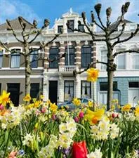 Kamer te huur: Mauritsstraat, Valkenberg Breda