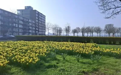 Appartement te koop: Mayflowerstraat 186, Schiemond Rotterdam