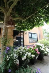 Woning te huur: Meistraat, Seizoenenbuurt Oost Almere
