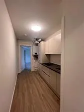 Room for rent: Merelstraat, Vogeltjesbuurt West Tilburg