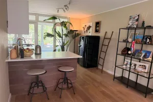 Home for rent: Moddermanstraat, Professorenwijk-Oost Leiden
