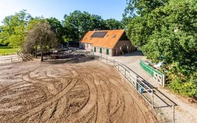 Vrijstaande woning te koop: Molenaarslaan 1, Nieuw-Schoonebeek Nieuw-Schoonebeek