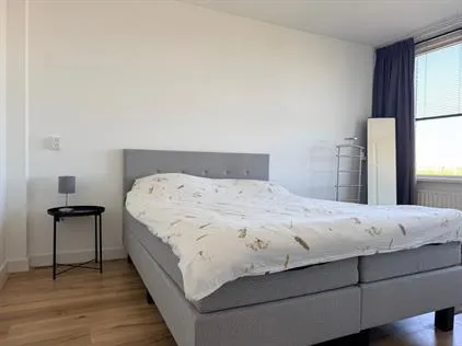 Room for rent: Molenvliet, Lombardijen Rotterdam