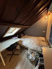 Room for rent: Molstraat, Centrum Delft
