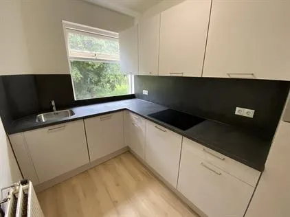 Room for rent: Molukkenstraat, Indische buurt Groningen