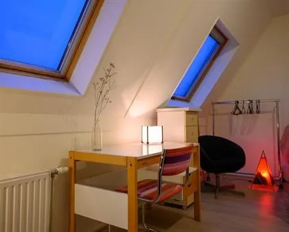 Kamer te huur: Monarchvlinderlaan, Parkwijk-Noord Utrecht