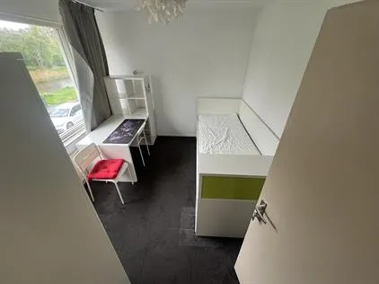 Kamer te huur: Morgensterlaan, Paddepoel-Noord Groningen