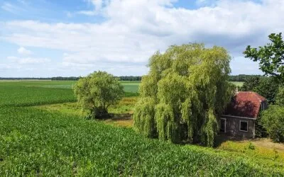 Vrijstaande woning te koop: Mr. Harm Smeengeweg 19, Witteveen Witteveen