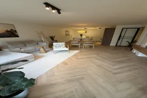 Woning te huur: Muzenstraat, Uilebomen 'S-Gravenhage