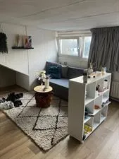 Kamer te huur: Nicolaas Pieckstraat, Besterd Tilburg