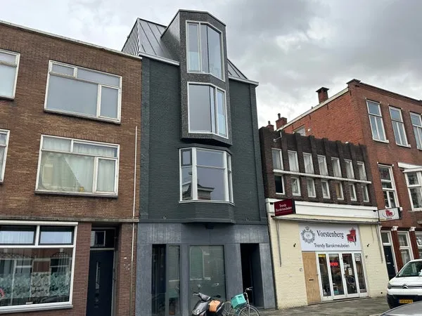 Home for rent: Nieuwe Boteringestraat, Hortusbuurt-Ebbingekwartier Groningen