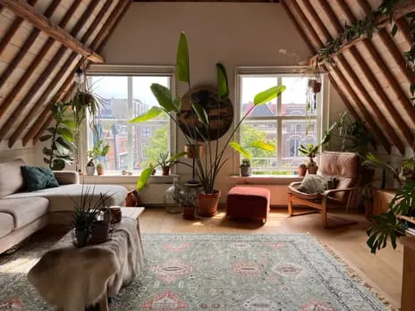 Appartement te koop: Nieuwe Rijn 105B, Havenwijk-Zuid Leiden