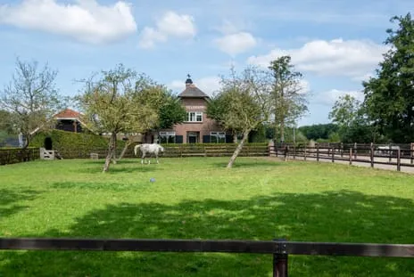 Vrijstaande woning te koop: Nieuwe Voorthuizerweg 10, Kruishaar Nijkerk