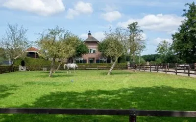 Vrijstaande woning te koop: Nieuwe Voorthuizerweg 10, Kruishaar Nijkerk