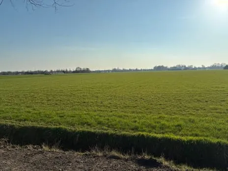 Woning te koop: Nieuweweg, Verspreide huizen ten noorden van Berlicum Berlicum