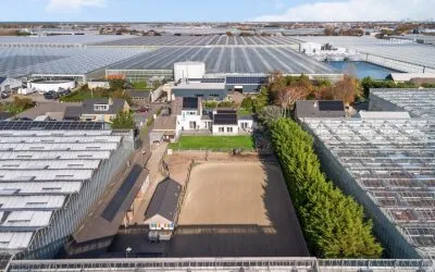 Vrijstaande woning te koop: Nieuwlandse Polderweg 19, Dorp Hoek Van Holland