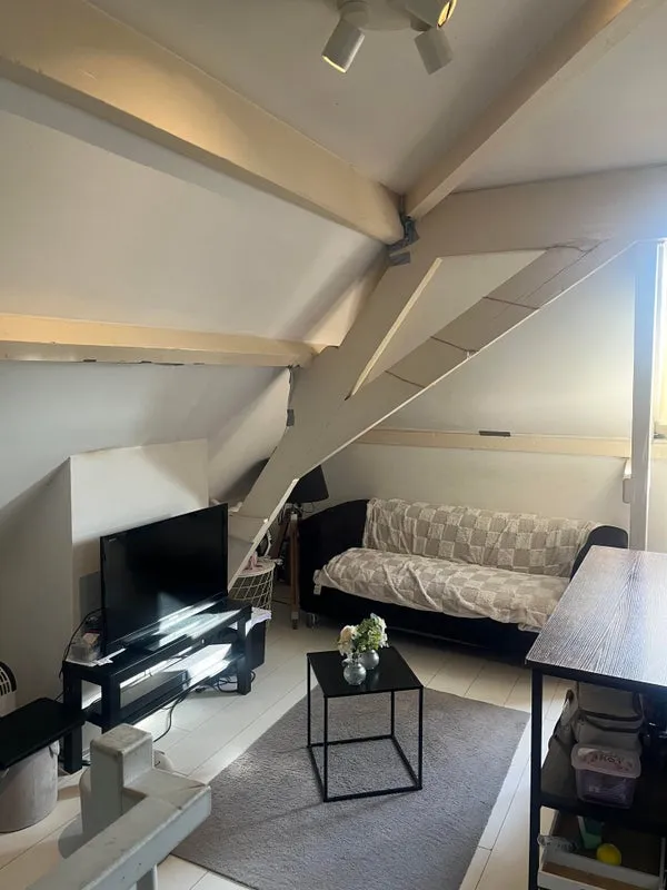 Home for rent: Noordmolenstraat, Oude Noorden Rotterdam