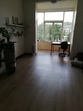 Room for rent: Obrechtstraat, Wittevrouwen Utrecht
